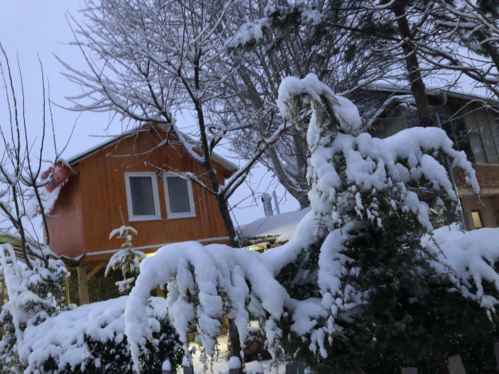 Bujtina Gashi Guest House Kukes Exterior foto